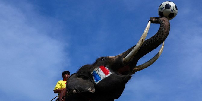Melihat Keseruan Piala Dunia ala Gajah Thailand
