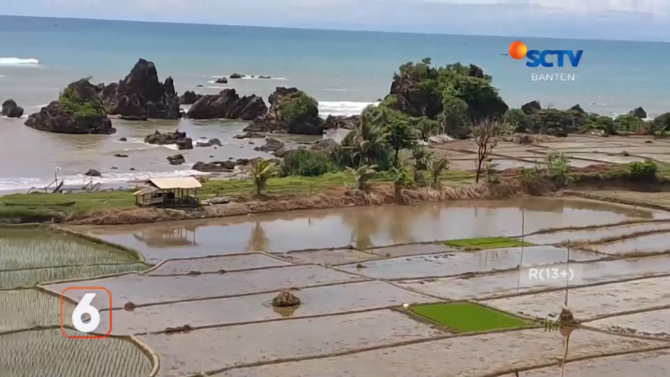 wisata bukit sodong lebak