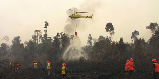 Penyebab Kebakaran Hutan Di Riau Beserta Dampaknya Yang Penting Diketahui 6060