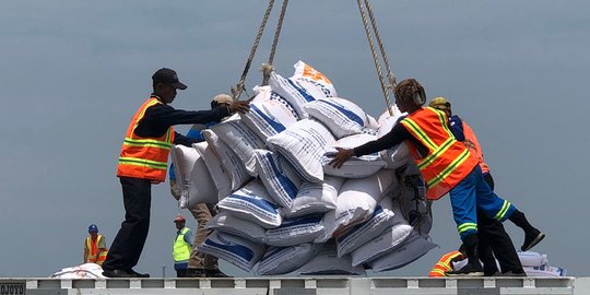 Impor Beras 500.000 Ton Habiskan Biaya Rp4,4 Triliun