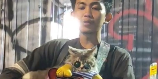 Viral Video Pria Bawa Kucing saat Ngamen, Aksinya Curi Perhatian