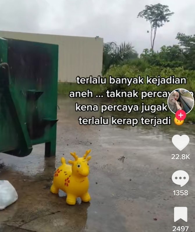 viral wanita buang mainan anak sebut boneka berhantu