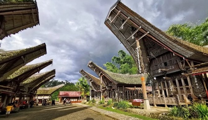 toraja