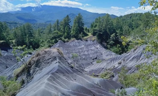 toraja