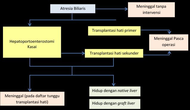 kenali sedari dini ini gejala kuning pada bayi yang dianggap berbahaya