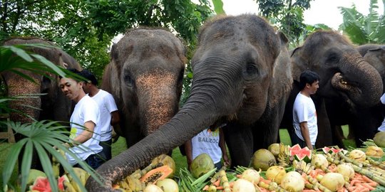 6 Tempat Wisata Anak di Bali, Destinasi Liburan Seru dan Edukatif