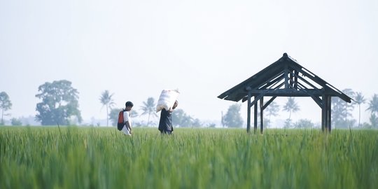 Solusi Pupuk Bersubsidi Langka, Petani Sampah Diminta Gunakan Pupuk Kandang