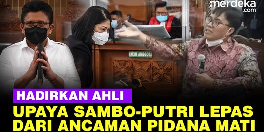 VIDEO: Saksi Ahli Meringankan Sambo & Putri Bicara Unsur Pembunuhan Berencana