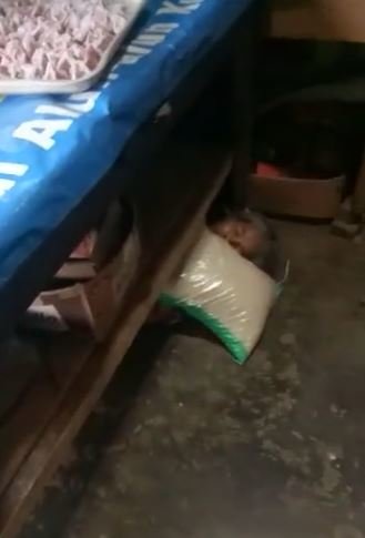 kocak nenek ini pura pura tidur di kolong meja hindari bayar utang 039bu angsurannya039