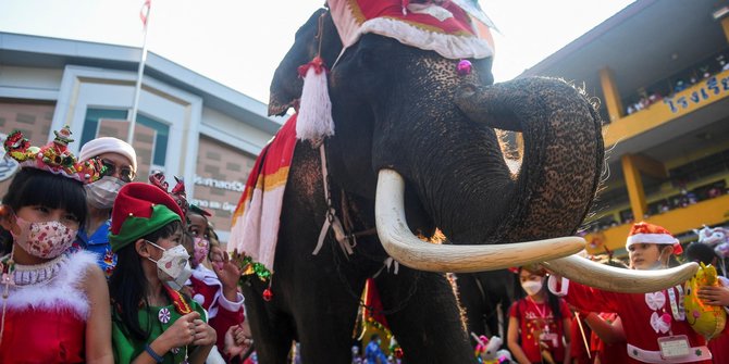 Aksi Gajah Sinterklas Berbagi Keceriaan Natal dengan Anak-Anak Thailand