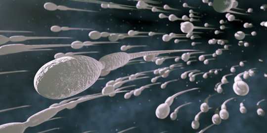 6 Hal yang Bisa Menyebabkan Air Mani dan Sperma Menjadi Encer