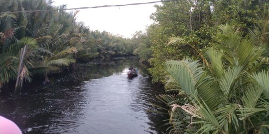 Lagi, Warga Meranti Tewas Diserang Buaya saat Bawa Batang Sagu