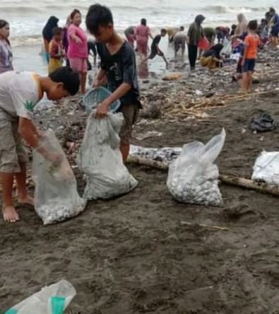 warga pesisir pantai asemdoyong berburu kerang