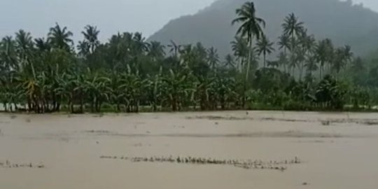 Jelang Panen Raya, 40 Hektare Sawah di Banten Terendam Banjir