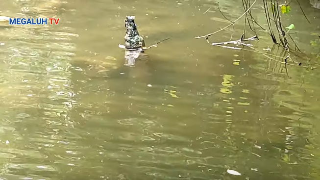 Pedang Pusaka Ditemukan Di Tengah Sungai Menancap Di Batu Ratusan