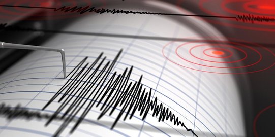 435 Gempa Guncang Bali Sepanjang Tahun 2022, Terbanyak pada Desember