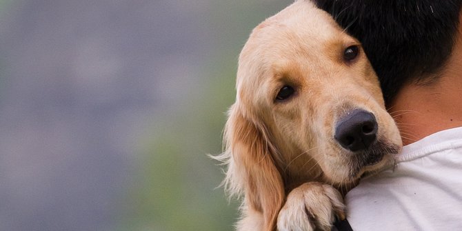 160 Nama Anjing Jantan Lucu dan Punya Makna Keren, Anti Mainstream