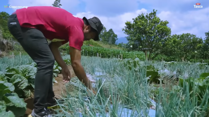 kisah insipiratif sarjana pilih jadi petani bawang tolak tawaran kerja di bank