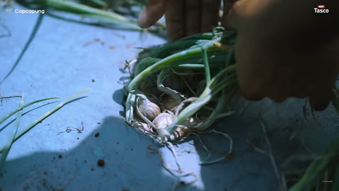 kisah insipiratif sarjana pilih jadi petani bawang tolak tawaran kerja di bank