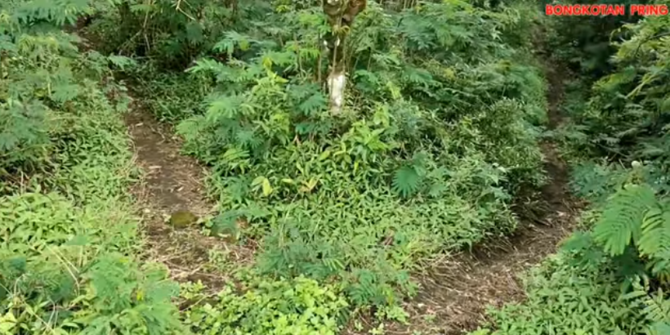 Batu ini Diyakini Tempat Mpu Gandring Membuat Keris Pusaka, Letaknya di Atas Gunung