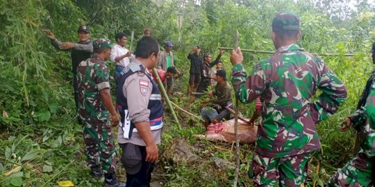 Puluhan Ekor Kerbau Warga Sumba Tengah Hilang Dicuri Kawanan Pencuri