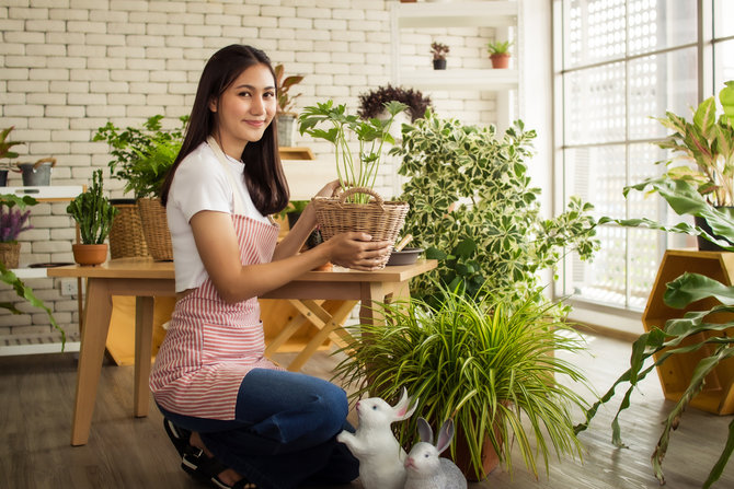 percantik rumah dengan tanaman hias ini tips perawatan yang wajib diketahui pemula
