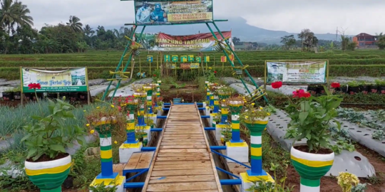 Dijuluki Taman Herbal, Desa Pasirhalang di Sukabumi Tawarkan Wisata Edukasi Kesehatan