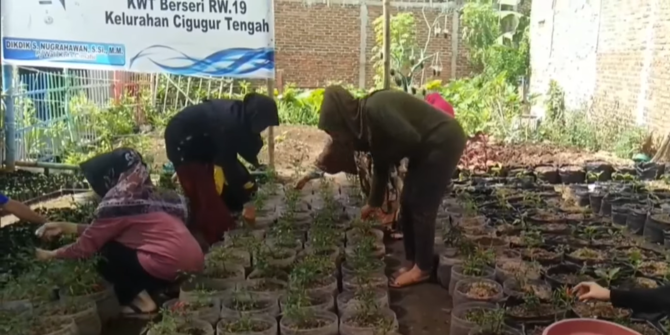 Emak-Emak di Cimahi Bangun Kampung Cengek, Sulap Lahan Sempit Jadi Kebun Cabai
