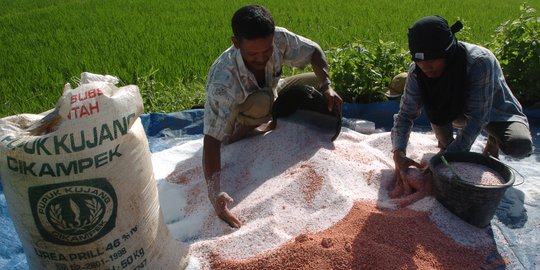 Petrokimia Gresik Libatkan Santri Jadi Pendamping Program Makmur