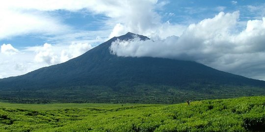 Gunung Kerinci Jambi Masih Semburkan Abu Tebal Setinggi 400 Meter Hingga Sore Ini