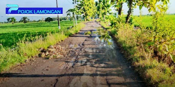 jalan di lamongan disebut mirip kubangan kerbau