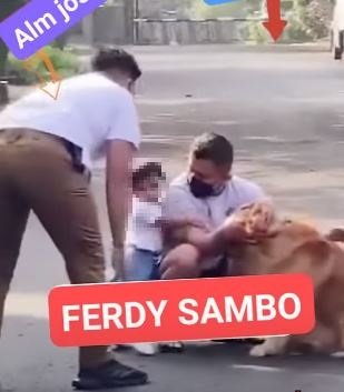 momen lawas ferdy sambo amp si bungsu sang putra gemas sama anjing ajudan bereaksi