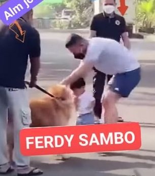 momen lawas ferdy sambo amp si bungsu sang putra gemas sama anjing ajudan bereaksi