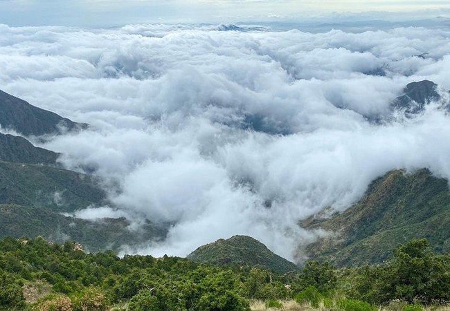 fenomena awan rendah di asir arab saudi