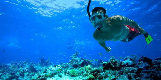 60 Caption yang Bagus untuk Snorkeling, Gambarkan Keseruan Bawah Laut
