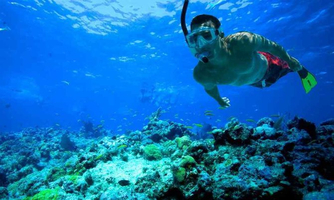 ilustrasi snorkeling