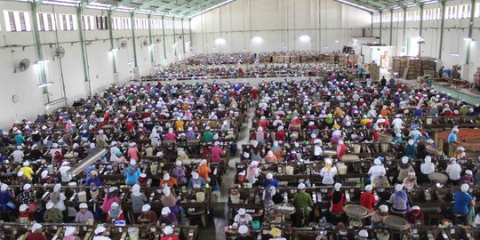 Miris, 52 Persen Pekerja di Indonesia Tak Sesuai Kualifikasi