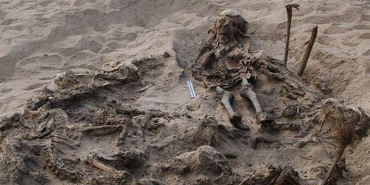 Misteri Bocah Dikuburkan Bersama 142 Anjing di Mesir dari Abad ke-4 Sebelum Masehi
