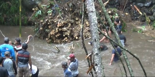 Pria di Lumajang Tewas Tertimpa Pohon Bambu saat Kerja Bakti