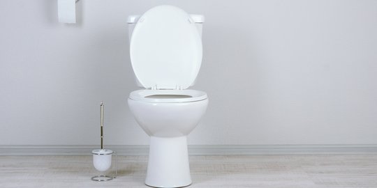 Siapa Penemu Sebenarnya dari Toilet?
