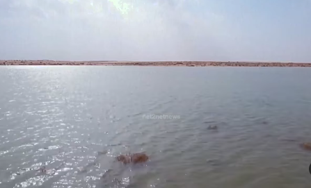 muncul danau di arab saudi