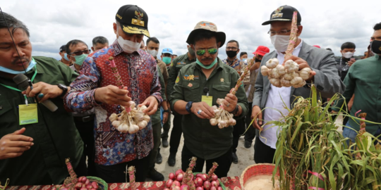 Gubernur Kalteng: Keberlanjutan Food Estate Memperkuat Pangan Indonesia