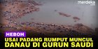 VIDEO: Viral, Kemunculan Danau di Tengah Gurun Saudi Usai Heboh Padang Rumput