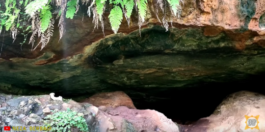 Gua ini Tempat Mahapatih Gajah Mada Bertapa, di Atas Gunung Bermedan Ekstrem