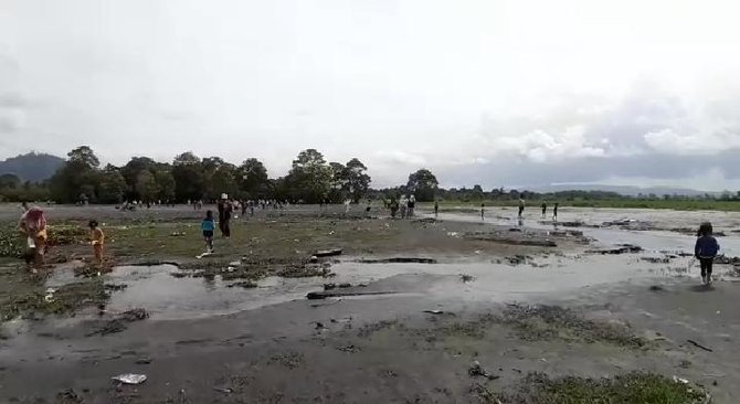 sawah tertutup abu vulkanik gunung kerinci jadi objek wisata