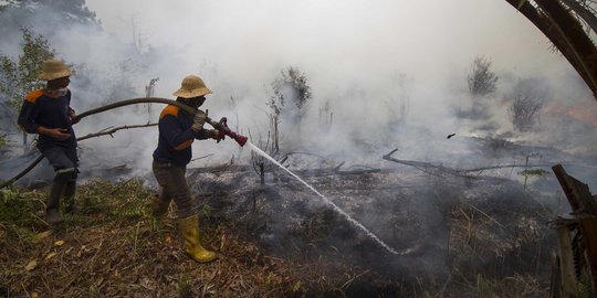 BMKG Ingatkan Waspada Potensi Kebakaran Hutan & Lahan di Sumatera pada Bulan Februari