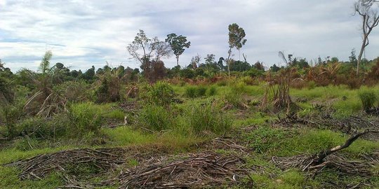 Kabar Gembira Buat Warga DKI, Urus Sertifikat Tanah Kini Bisa Lewat Aplikasi siAmanah