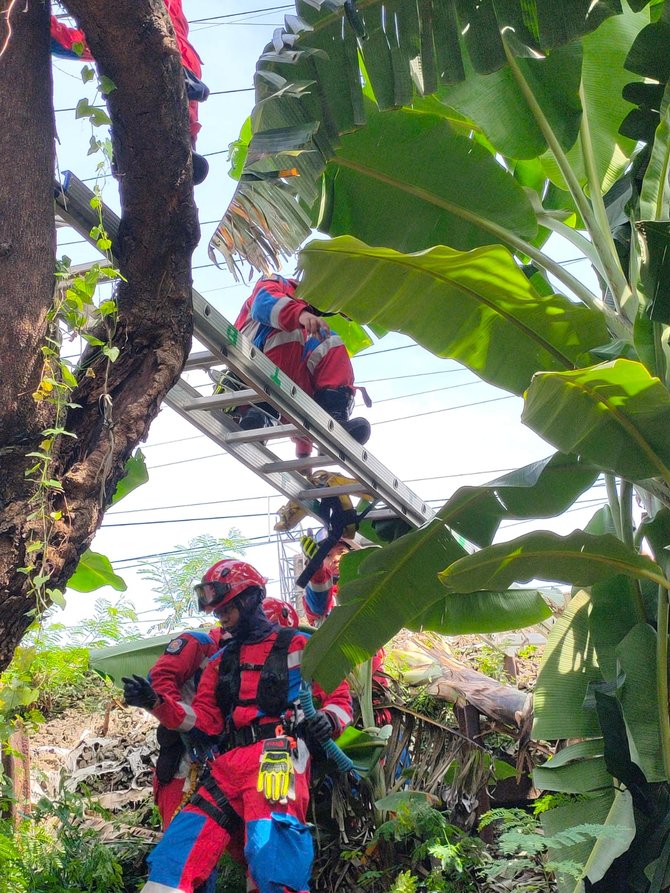 tidur di pohon karena mabuk berat