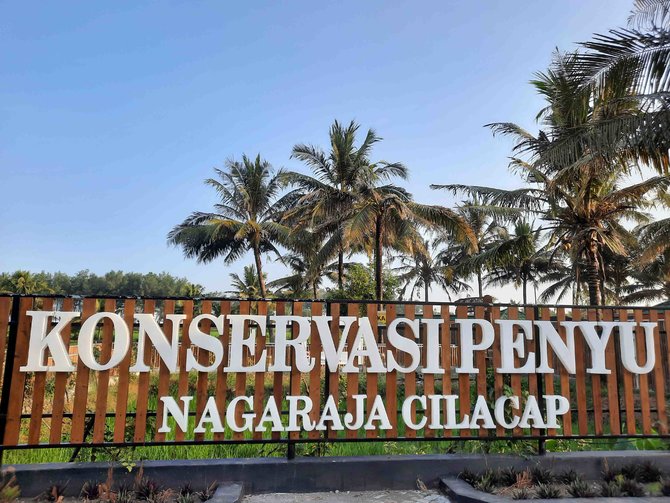 konservasi penyu nagaraja