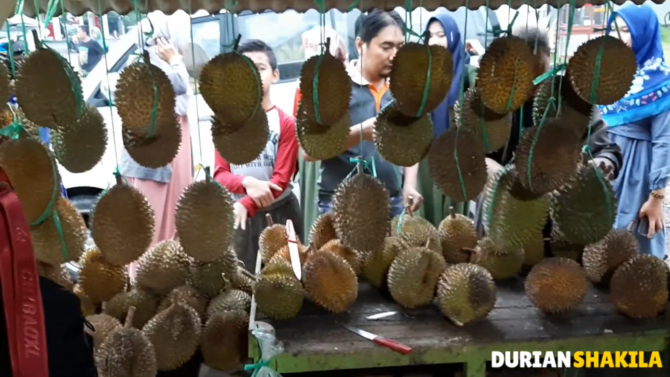 durian sinapeul majalengka